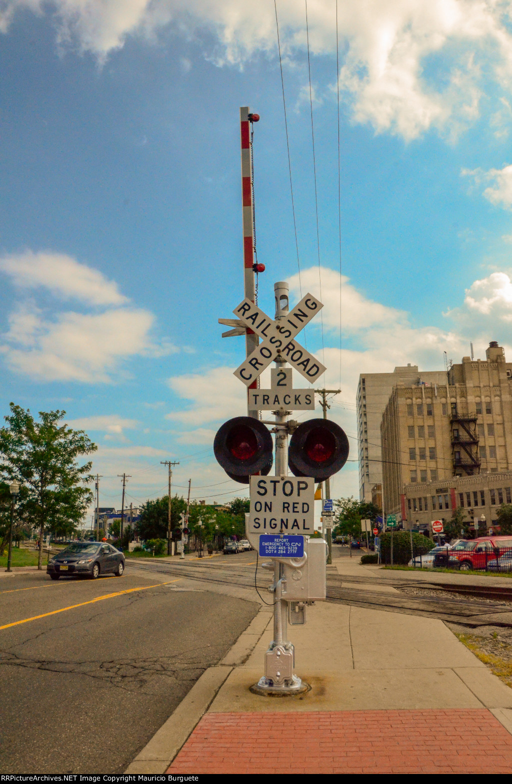 Royal Oak Tracks